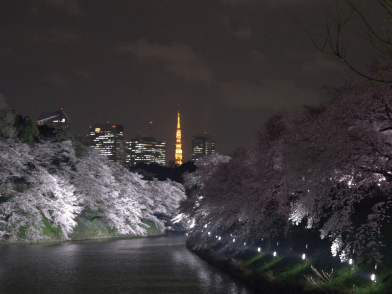 Japan 2017: Day 1 –&nbsp;Tokyo