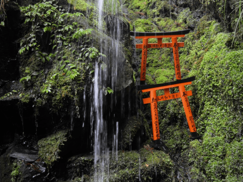 Japan 2017: Day 4 –&nbsp;Kyoto