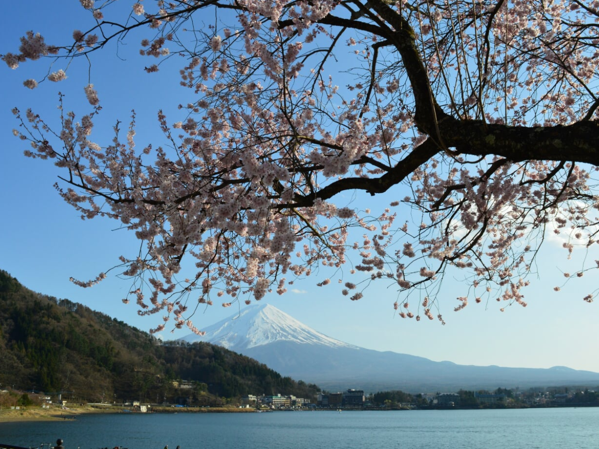 Japan 2017: Day 11 – Kawaguchi-ko pt 2; Fuji Five Lakes