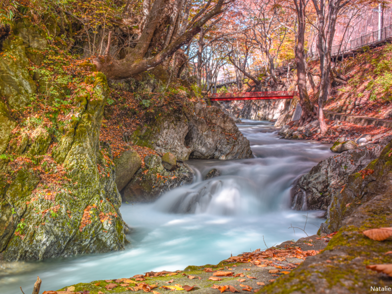 Japan 2019 Day 7: Jodogahama, Ryusendo Caves & Tono&nbsp;village