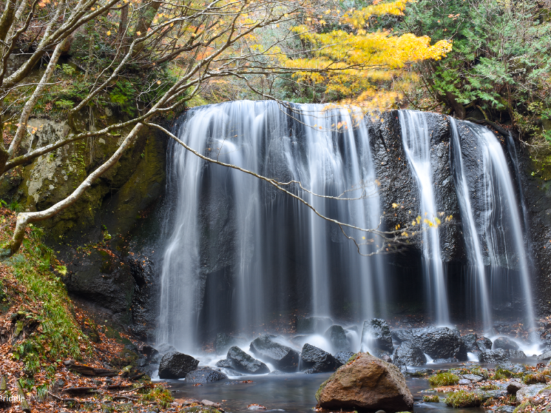 Japan 2019 Day 8: To&nbsp;Fukushima!