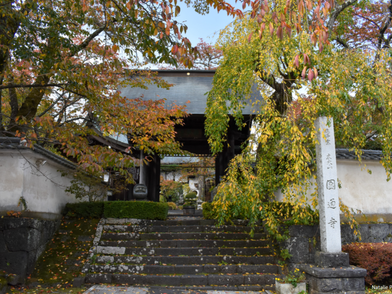 Japan 2019 Day 16: Driving up Mount&nbsp;Fuji!