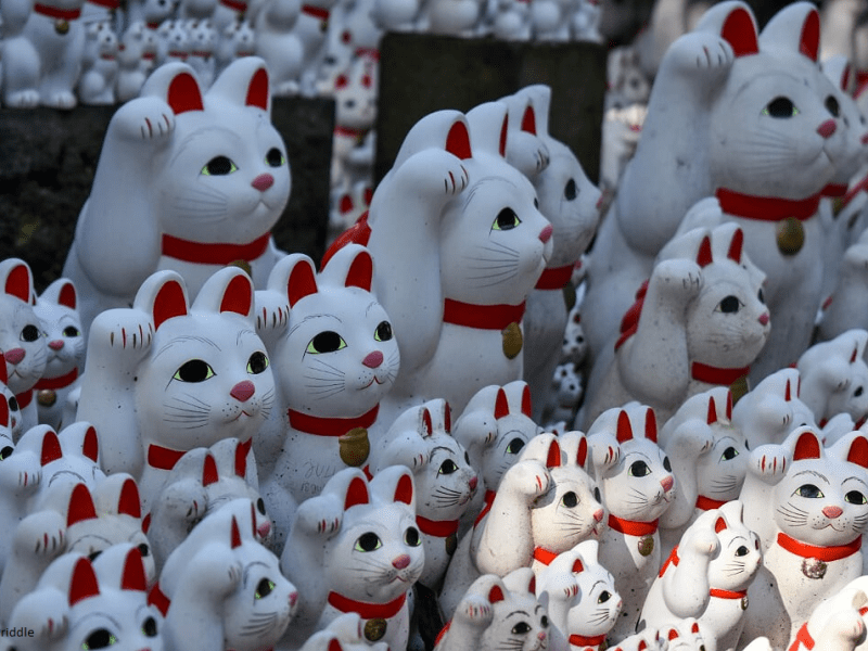 Japan 2019 Day 14: Tokyo's Cat Temple&nbsp;Gotokuji