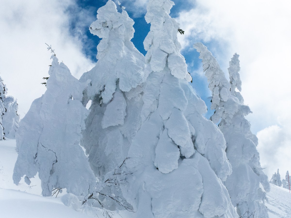 Japan 2023 Winter Day 7: The Snow Monsters of Akita&nbsp;-Juhyo